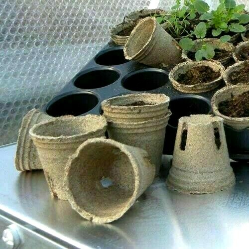 100 jiffy nursery plant pots - 100,