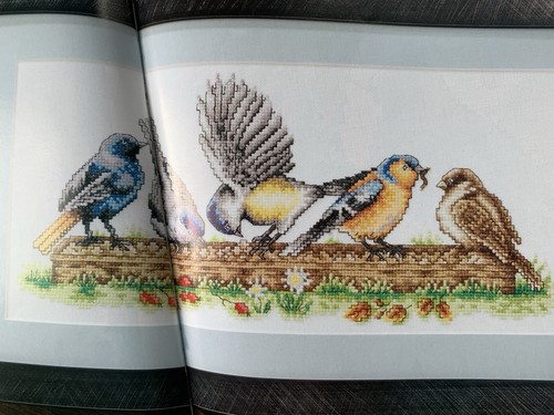 Pecking order birds - pecking, a