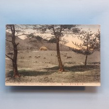 Nagasaki Postcard C1920 Onsen Park Golf Course Hand Tinted Japan