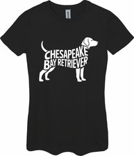 Chesapeake Bay Retriever
