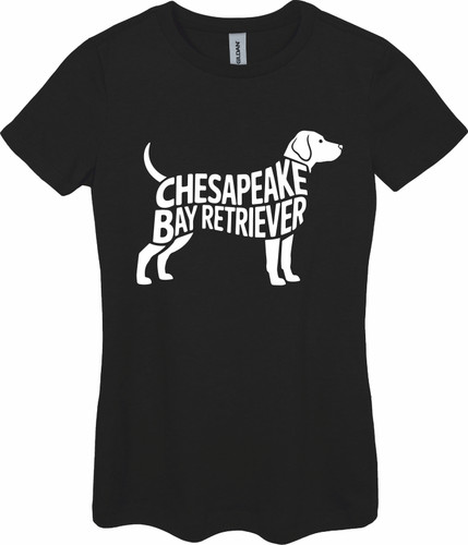Chesapeake bay retriever - chesapeake,