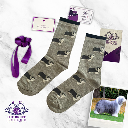 Bearded collie fun socks - bearded,