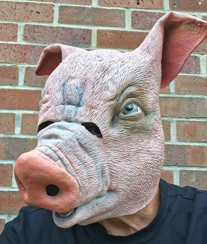 Pig mask fancy dress - mask, costume