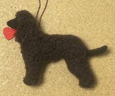 IRISH WATER SPANIEL with a RED