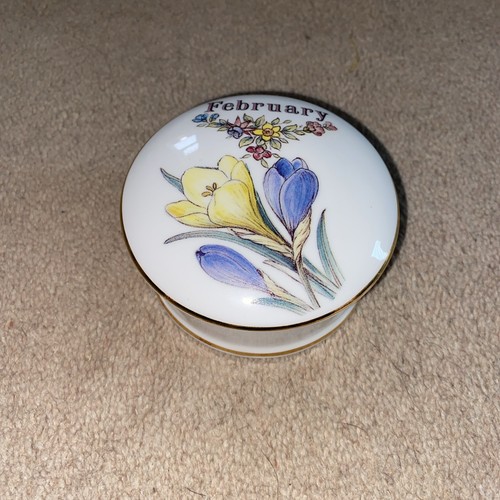 Staffordshire fine bone - staffordshire,