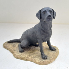 Vintage Black Labrador