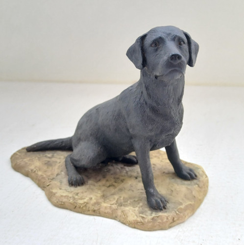 Vintage black labrador - black,
