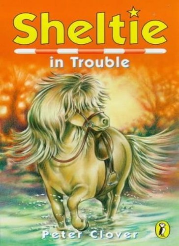 Sheltie in - sheltie, 11: