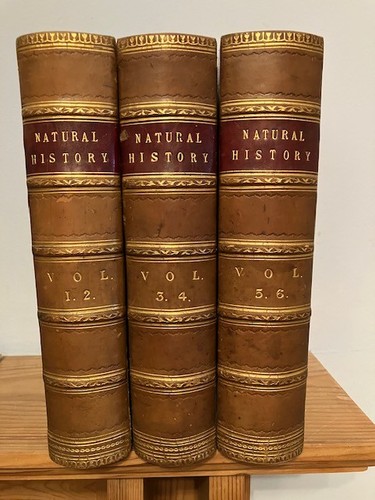 Cassell natural history - cassell's,