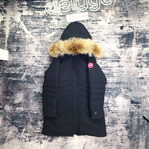 Canada goose lorette - goose,