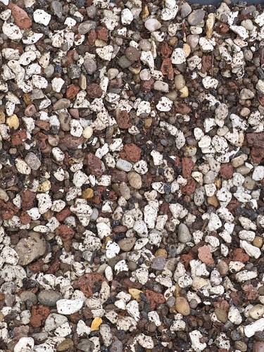Premium rare cactus soil mix - premium,