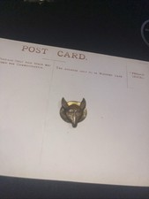 Boy Scouts Wolf Cubs lean & hungry wolf lapel badge