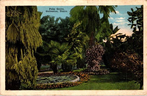 Palm grove galveston - tx, 1917