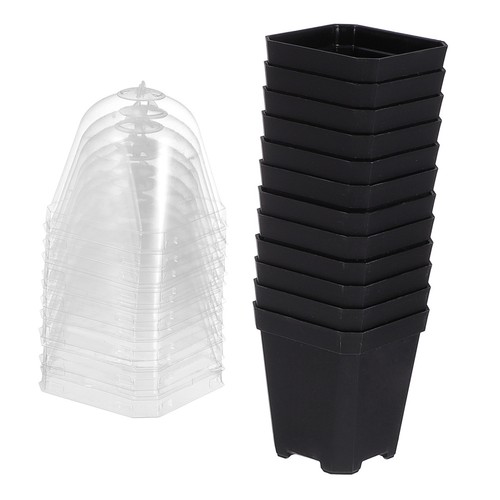 10pcs plant nursery - plant,
