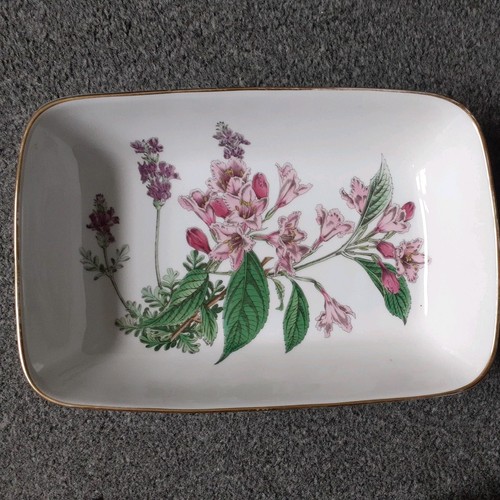 Spode stafford flowers f1851 - flowers, f1851-n