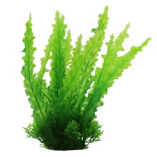 Swell Wavy Green Fern