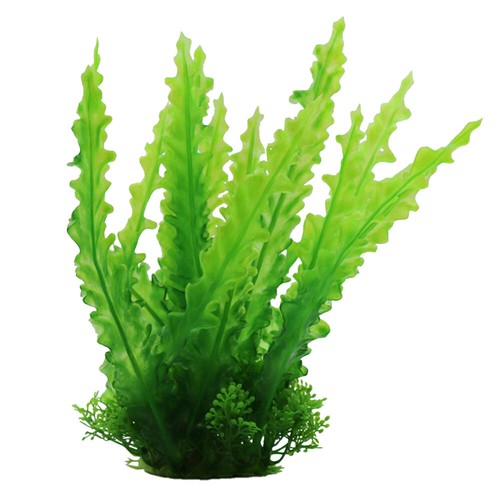 Swell wavy green fern - wavy,