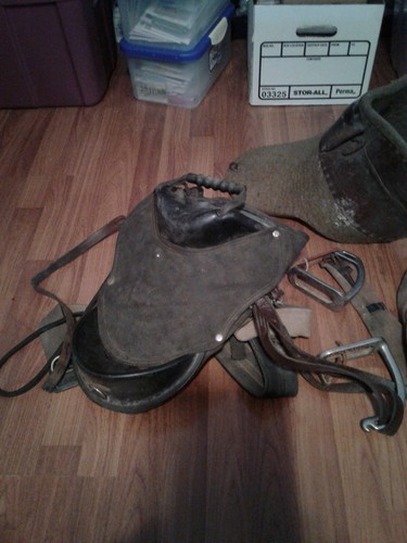 English saddle - 14,
