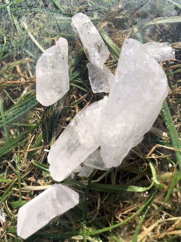 Danburite crystal natural raw - crystal,