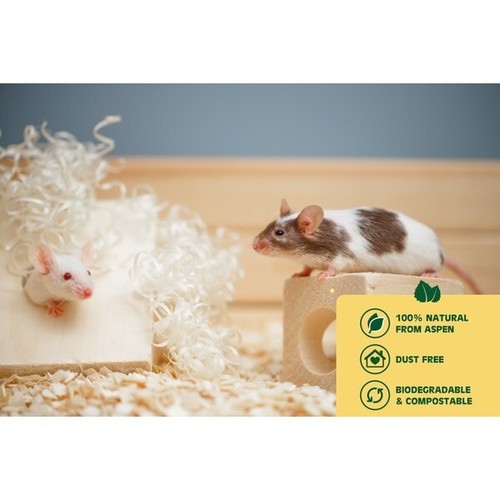 Eco friendly animal - eco,