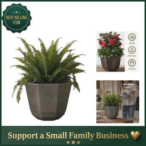 Shaina planter in northern - in,