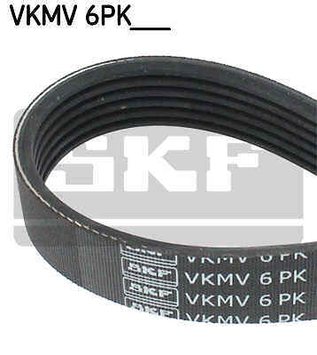 Ribbed belts for - belts,