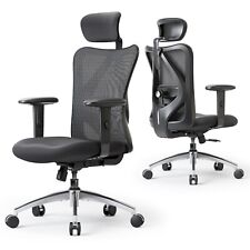 Sihoo Ergonomic High Back
