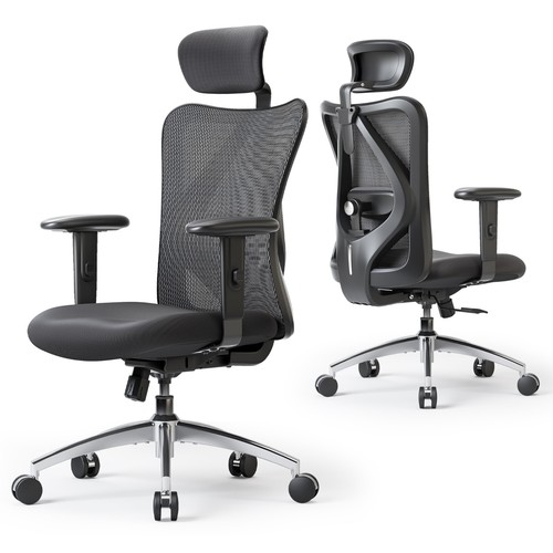 Sihoo ergonomic high back - high,