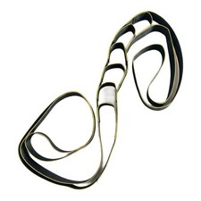 Short Track Speed Skating Training Strap Nylon 245m Padded Support for Turns