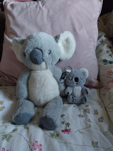 Bundle cute koala plush - of,