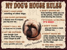 Griffon Bruxellois My Dog's