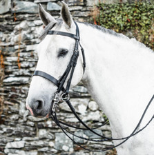 Mackey Classic Double Bridle