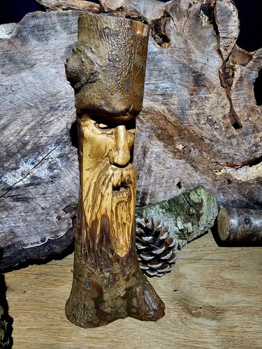 Guardian spirit old viking - of,