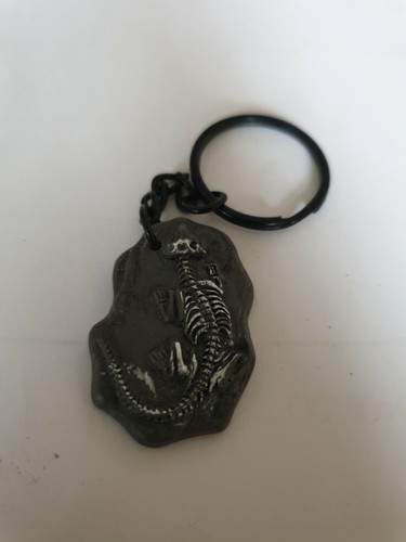 Lizard fossil embellishment - lizard,