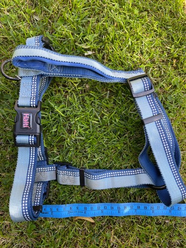 Halti walking dog harness - halti,