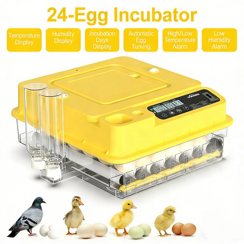 Eggs digital incubator with - 24,