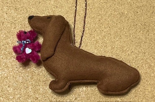 Brown dachshund with cerise - dachshund, a