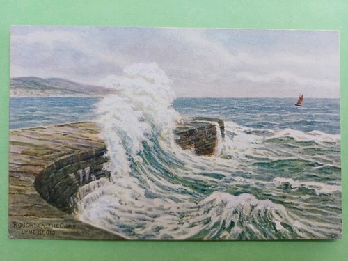 Post card salmon - card,