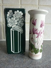 Portmeirion Botanic Garden Ivy