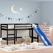 Childrens Loft Bed with Slide