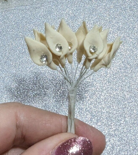 Arum lily miniature calla - arum,