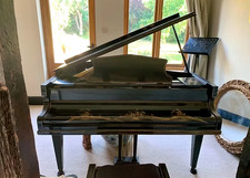 Challen Baby Grand, unique