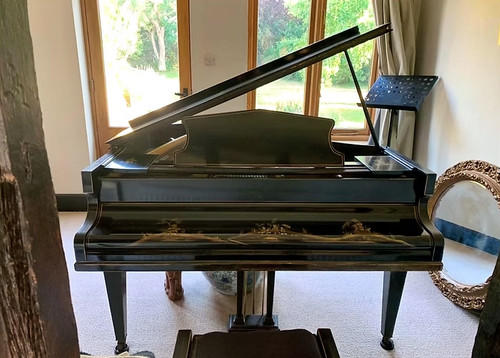 Challen baby grand black - in,