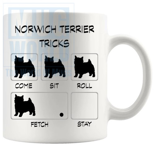 Norwich terrier tricks - norwich,