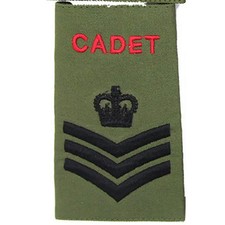 ACF Olive Rank Slides