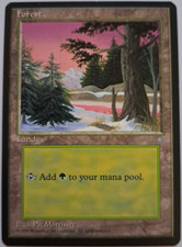 Forest (C) - Ice Age - MTG