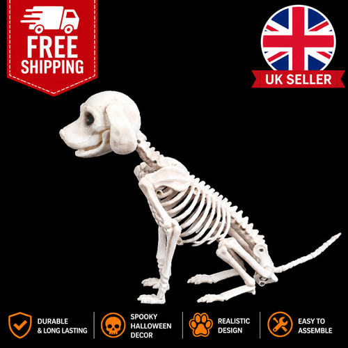 Halloween scary skeleton - halloween,