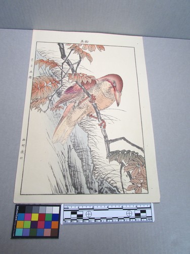 Woodblock print - woodblock,