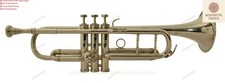 Professional classical - professional,