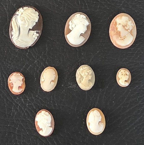 Craved shell cameo - shell,